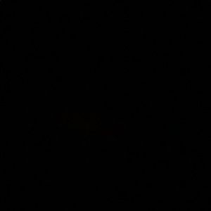 Meet your Posher, Zoe